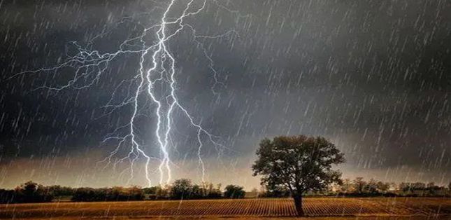 雷電的種類有哪些？